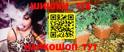 индика Заводоуковск