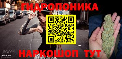 бошки Заволжье