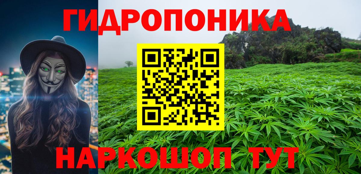 Галлюциногенные грибы Ликино-Дулёво